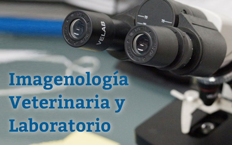 Imagenología Veterinaria y Laboratorio
