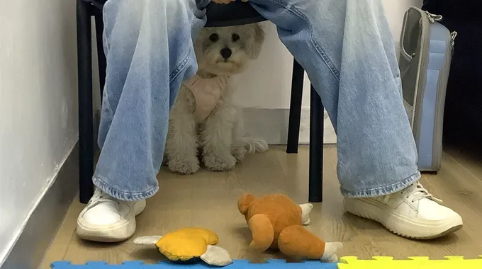 hospitaldelta-servicio-etologia