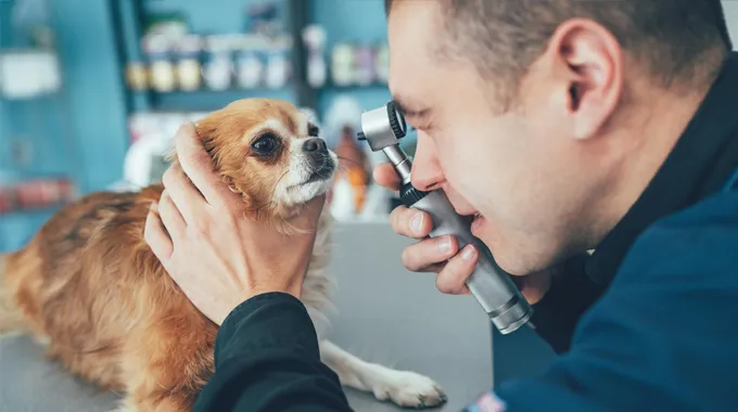 hospitaldelta-servicio-oftalmologia