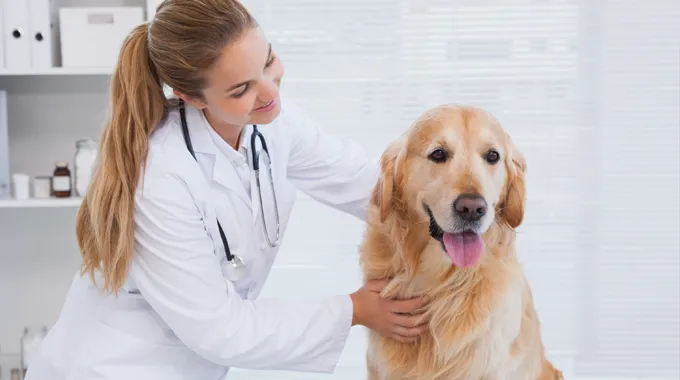 hospitaldelta-servicio-planes-de-salud