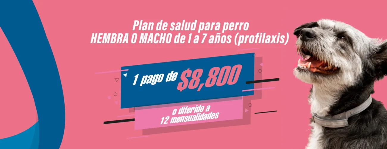 PLAN DE SALUD PERRO HEMBRA O MACHO DE 1 A 7 AÑOS PROFILAXIS PLAN DE SALUD PERRO HEMBRA O MACHO DE 1 A 7 AÑOS PROFILAXIS