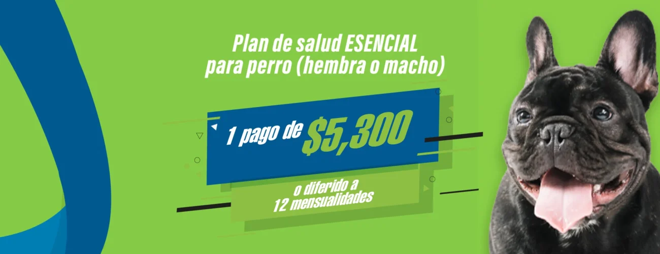 PLAN DE SALUD ESENCIAL PERRO (HEMBRA O MACHO) PLAN DE SALUD ESENCIAL PERRO (HEMBRA O MACHO)