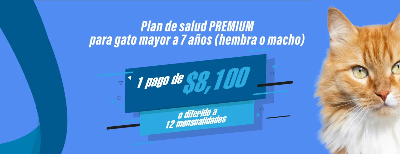 PLAN-SALUDPREMIUM_GATO_2026